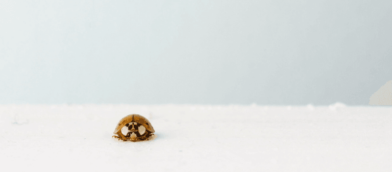 Why Cleaner Marketing Data is Essential for IT