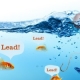 Why Fishing For Sales Leads Has Become More Difficult
