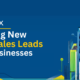 The Importance Of Finding New B2B Sales Leads For Your Business