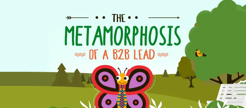 The Metamorphosis of a B2B Lead