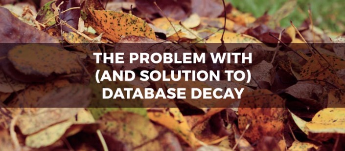 The-Problem-with-(and-Solution-to)-Database-Decay