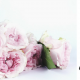 5 Ways of Using Instagram to Earn More Business Returns and Profit [GUEST POST]