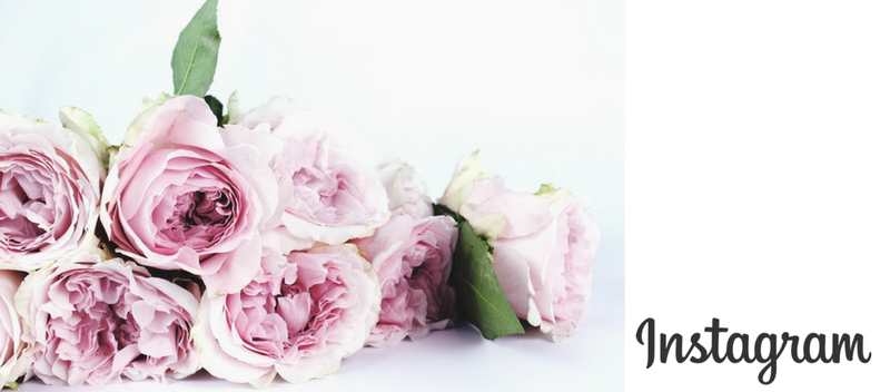 5 Ways of Using Instagram to Earn More Business Returns and Profit [GUEST POST]