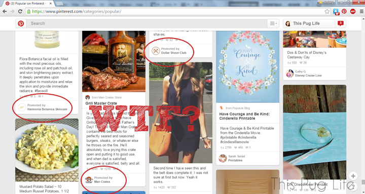 Pinterest Promoted Pins – Is Pinterest as we knew it dead?