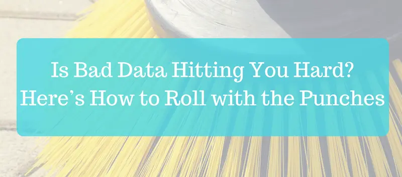 Is Bad Data Hitting You Hard- Here’s How to Roll with the Punches
