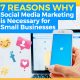 7 Reasons Why Social Media Marketing is Necessary for Small Businesses [GUEST POST]
