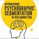 Approaching Psychographic Segmentation In B2B Marketing