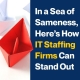 In-a-Sea-of-Sameness,-Here’s-How-IT-Staffing-Firms-Can-Stand-Out