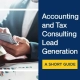 Accounting and Tax Consulting Lead Generation, A Short Guide