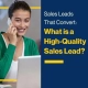 Sales Leads That Convert What is a High-quality Sales Lead
