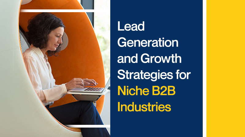 Lead-Generation-and-Growth-Strategies-for-Niche-B2B-Industries