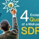 4-Exceptional-Qualities-of-a-Well-performing-SDR