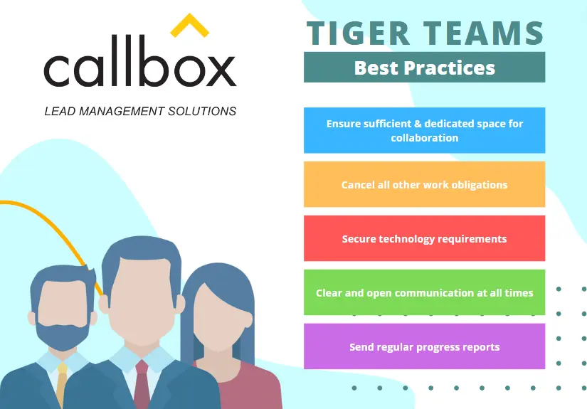 Graphics of Tiger Teams Best Practices