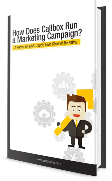 How Does Callbox Run a Marketing Campaign?