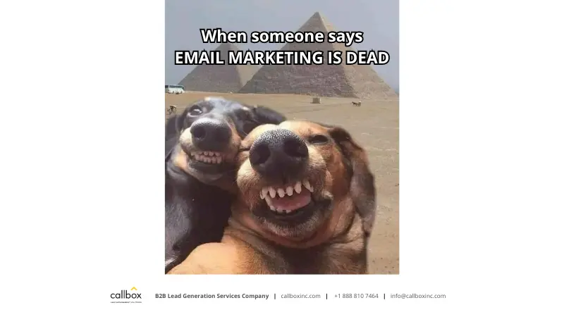 Callbox meme about email marketing is dead