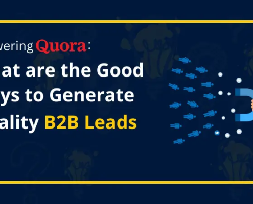 Answering Quora What are the Good Ways to Generate Quality B2B Leads