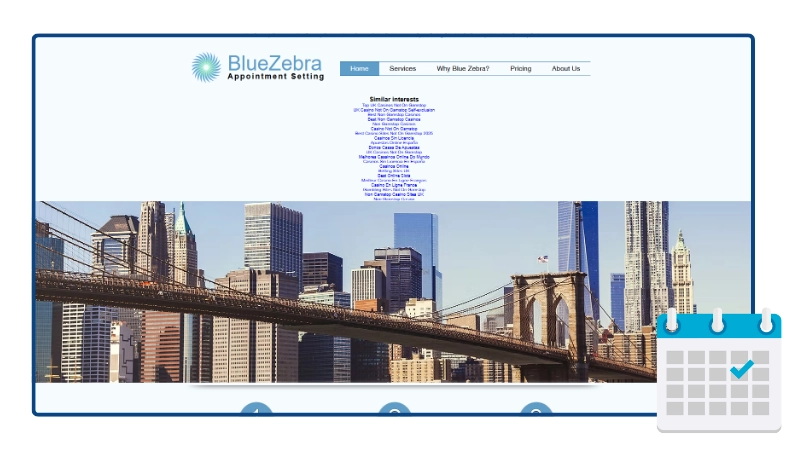 Top B2B Appointment Setting 2026 - BlueZebra