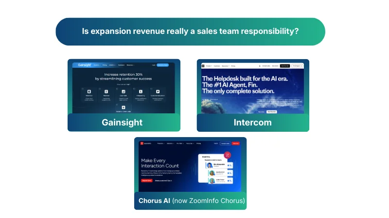 Is expansion revenue really a sales team responsibility