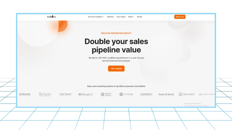 Belkins - Demand Generation Agency