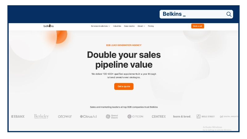 Belkins - Sales and Marketing Company