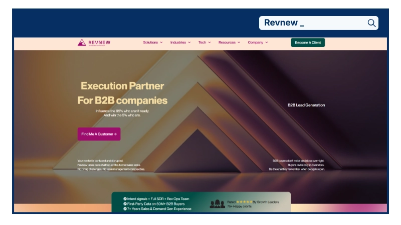 Revnew - Sales and Marketing Company